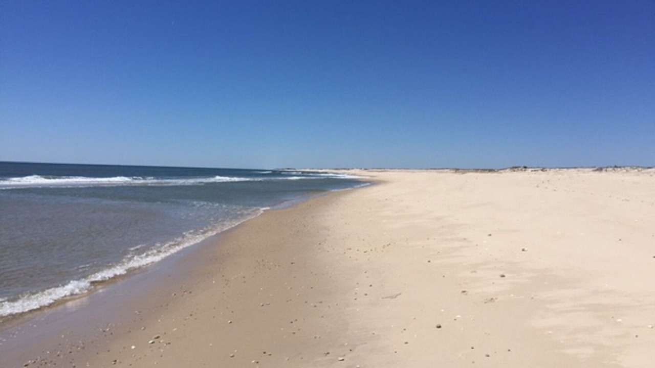 Photo of Others in East Quogue