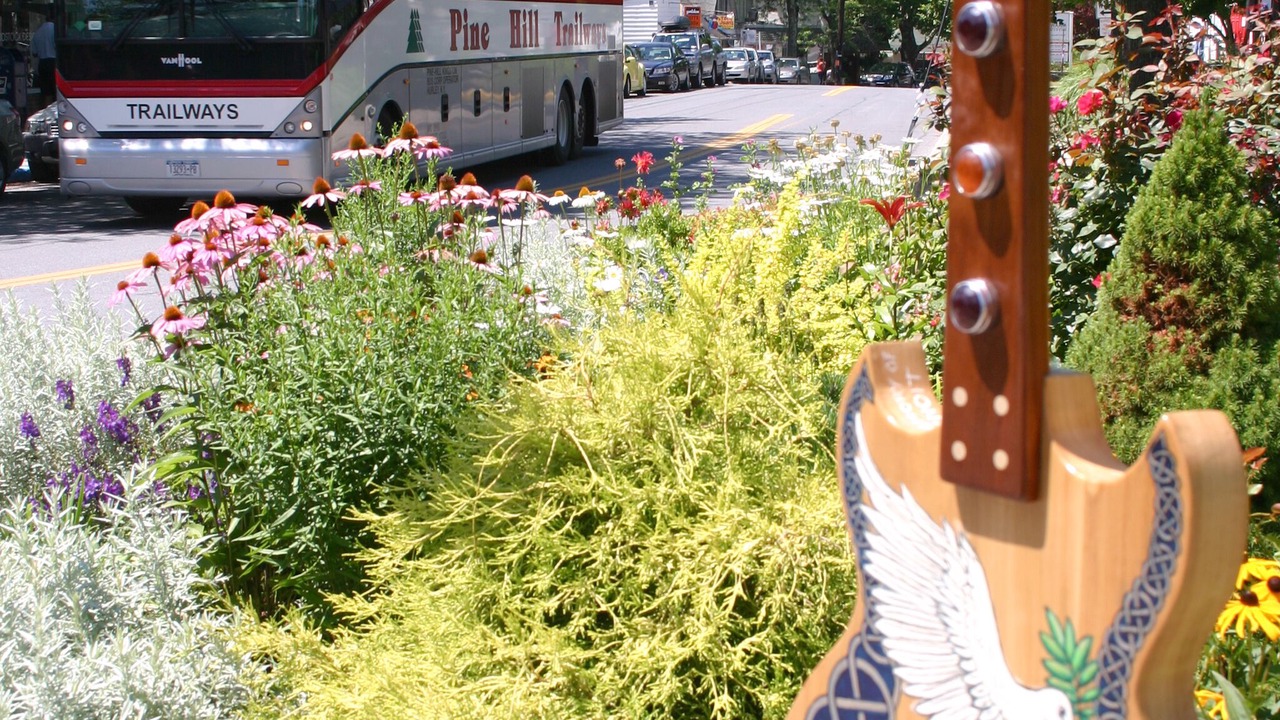 Photo of Others in Woodstock