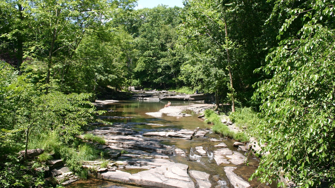 Photo of Others in Woodstock