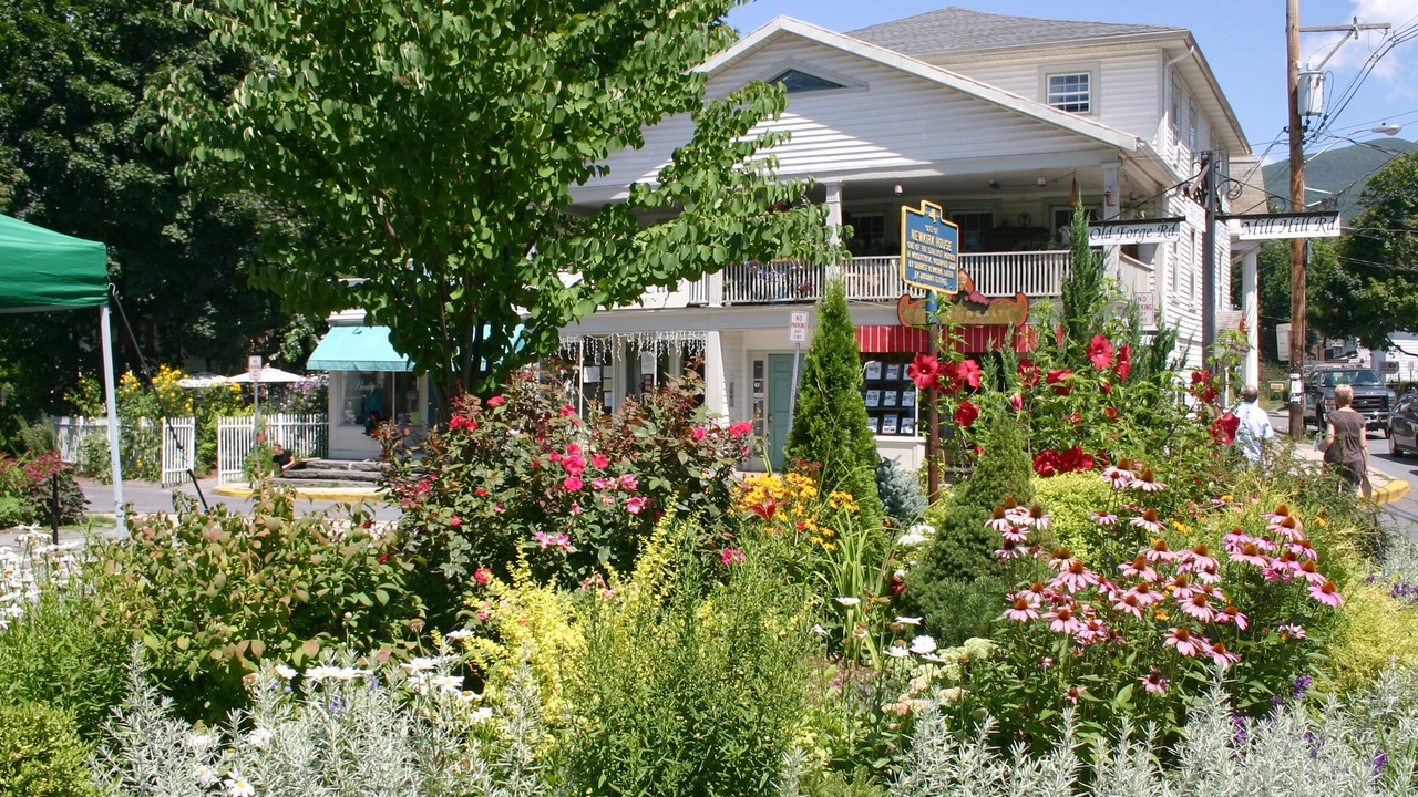 Photo of Others in Woodstock