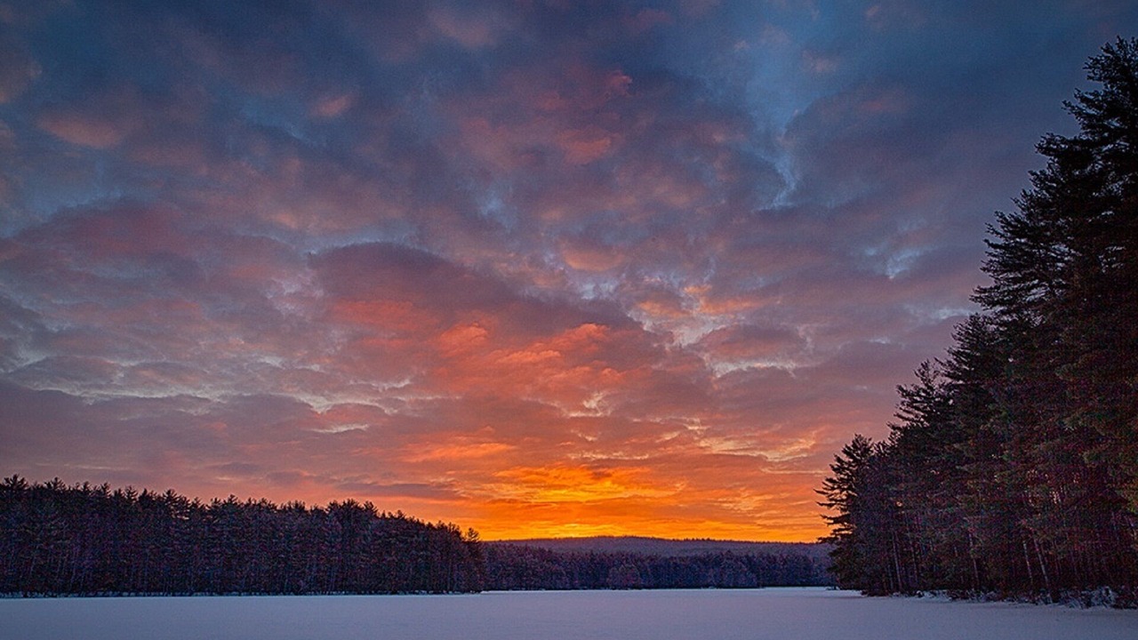 Photo of Others in Amherst
