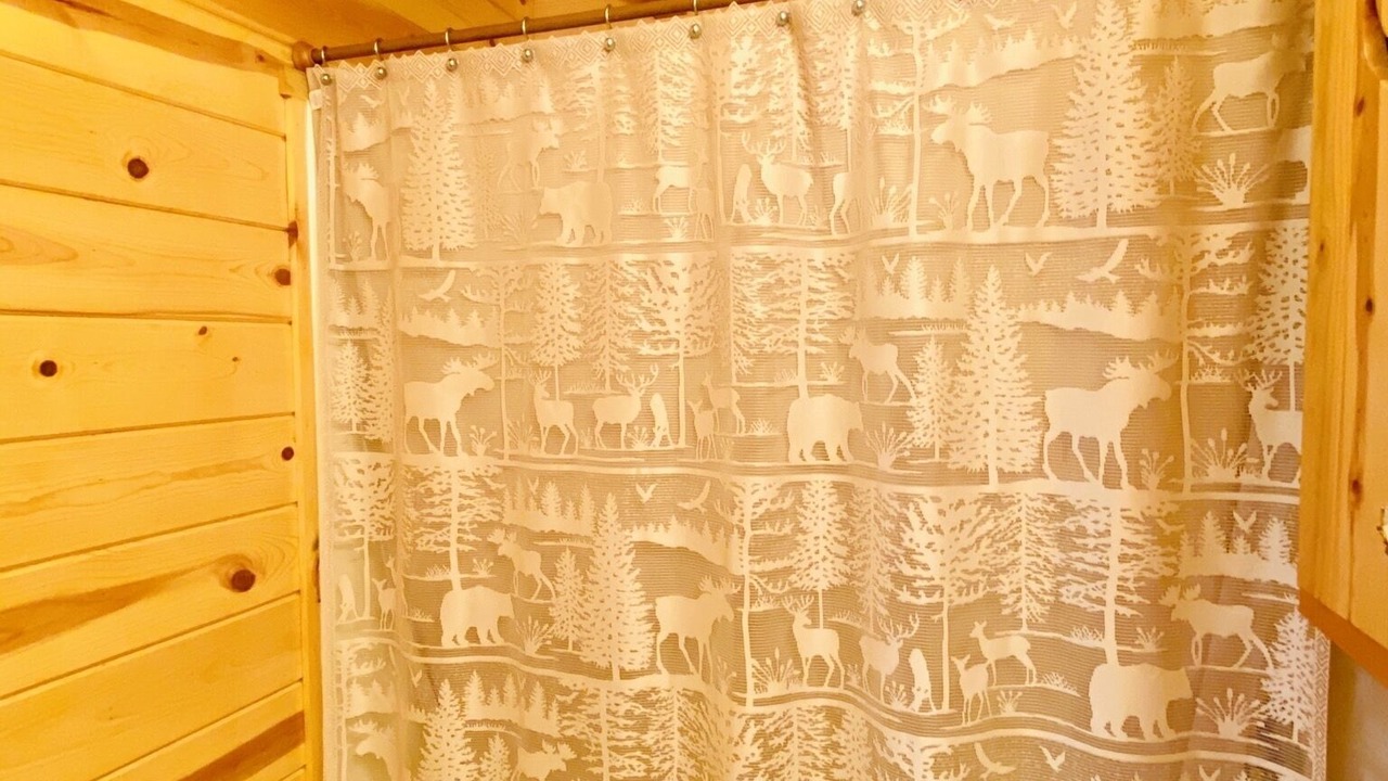 Photo of Bathroom in Luray