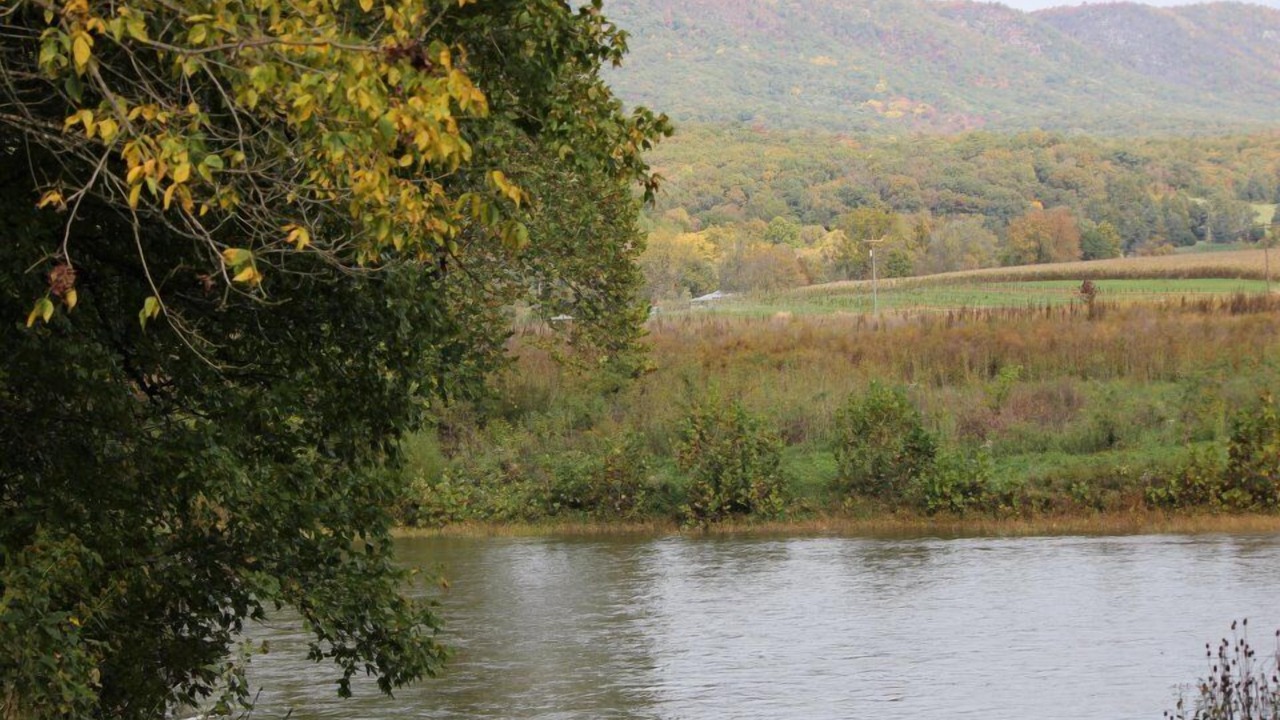 Photo of Others in Luray