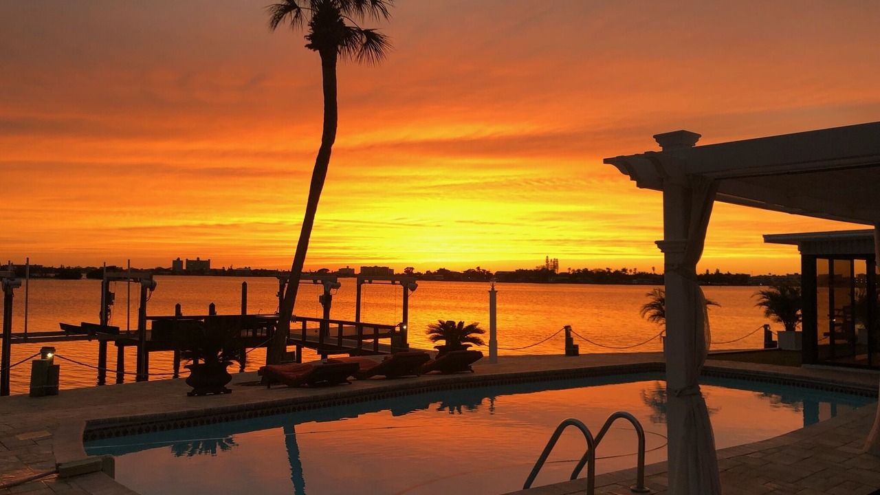 Photo of Outdoor in St. Petersburg - Clearwater