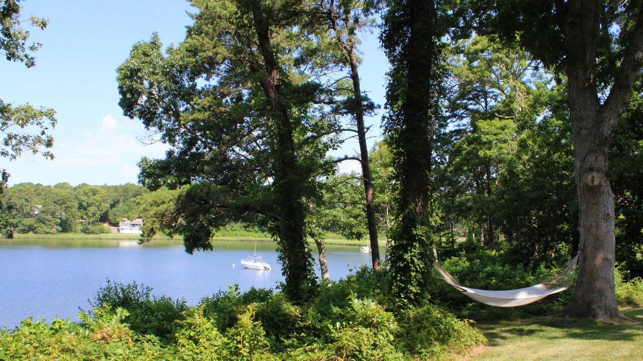 Photo of Outdoor in Orleans