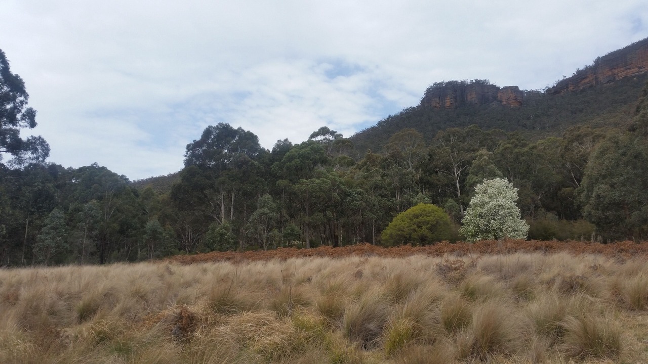 Photo of Outdoor in Kanimbla