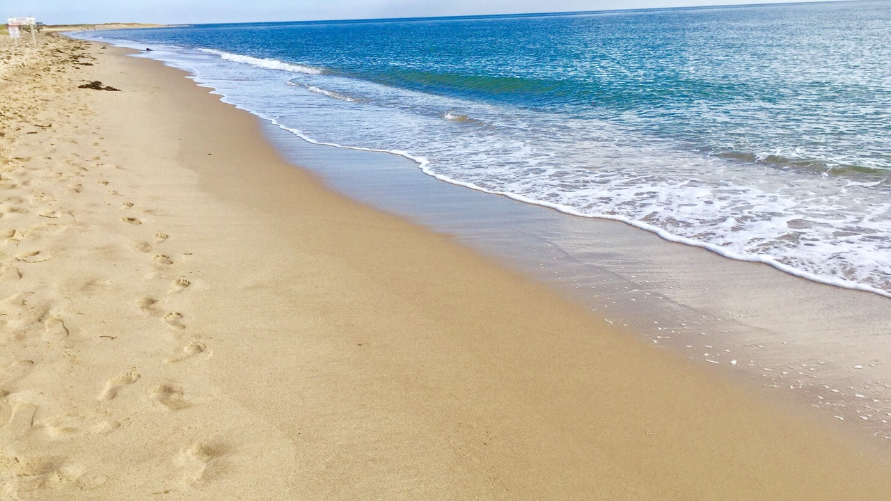 Photo of Others in Summersea