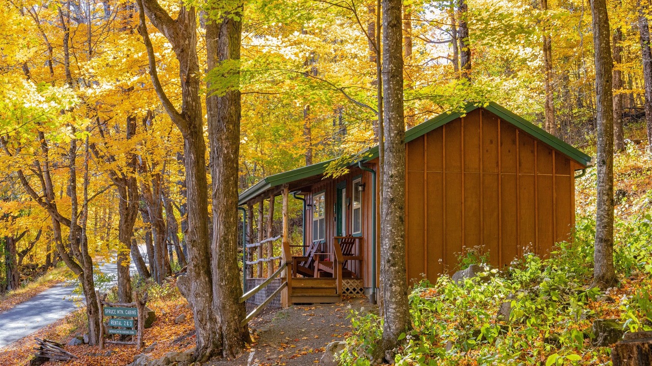 Photo of Others in Allegheny Mountains