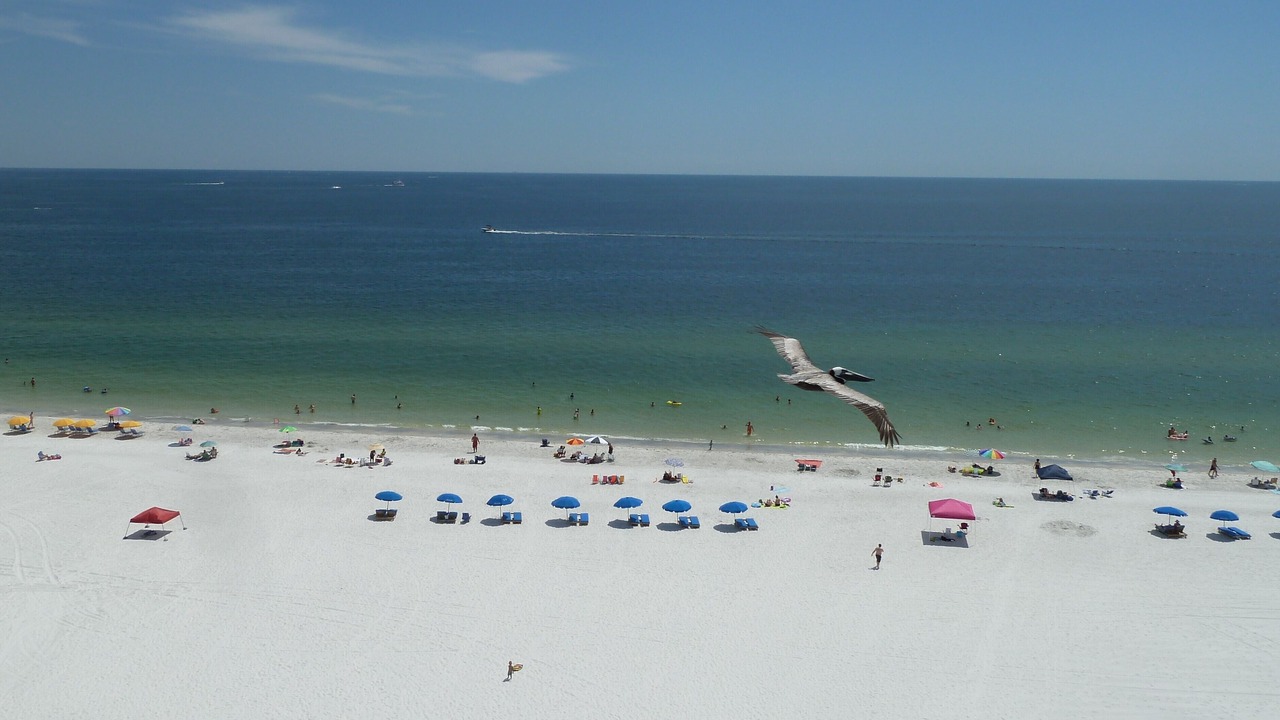 Photo of Others in Madeira Beach