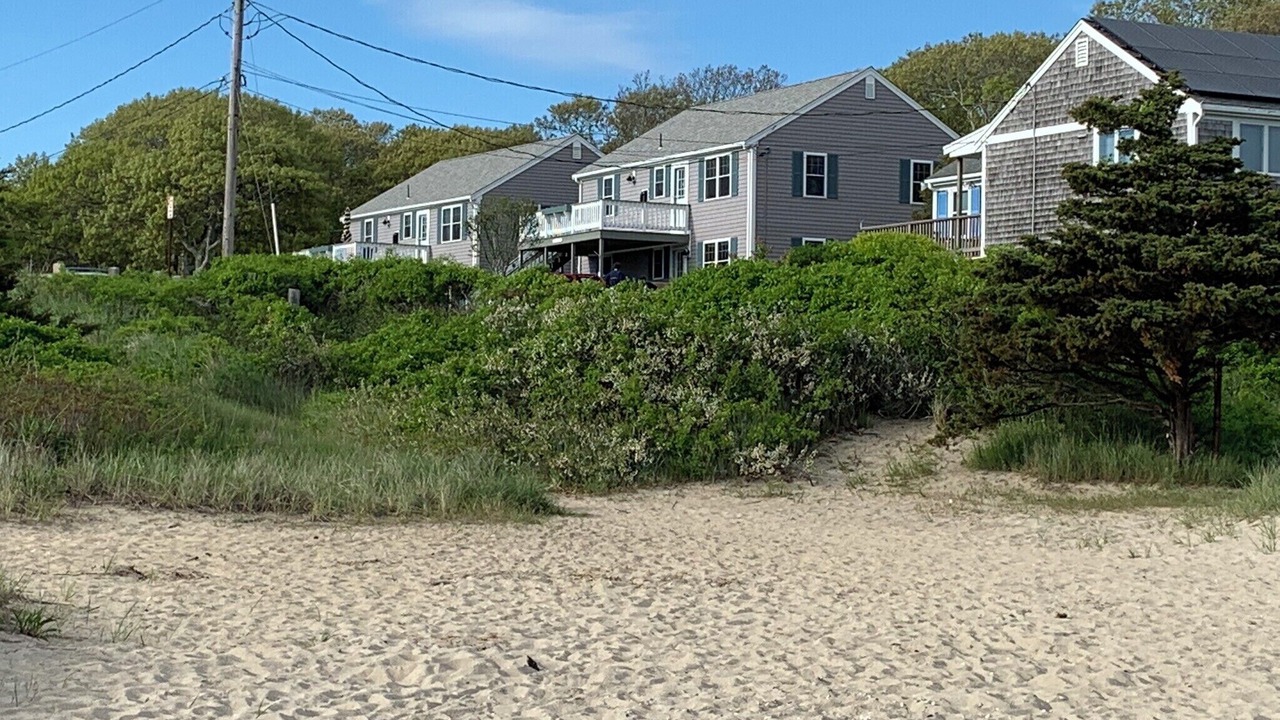 Photo of Others in Hyannis