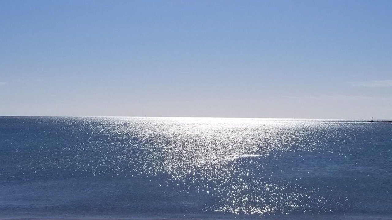 Photo of Others in Hyannis