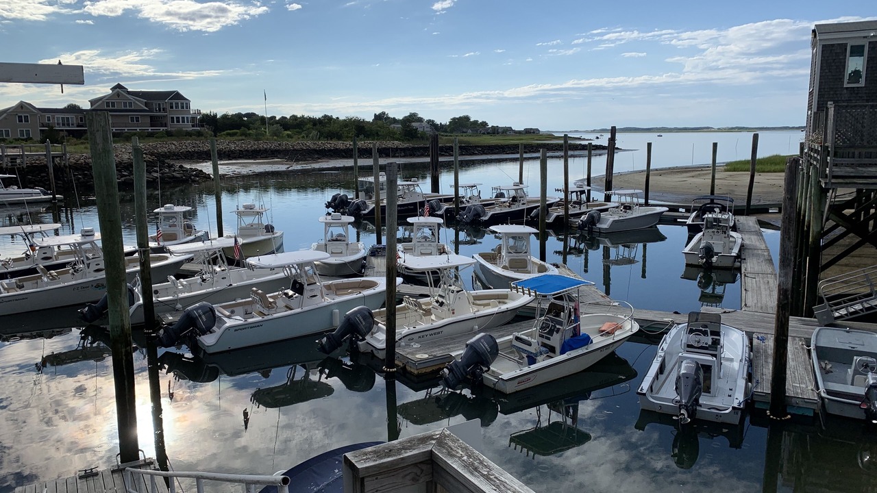 Photo of Others in Hyannis