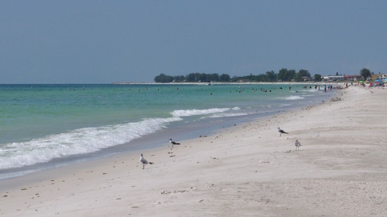Photo of Others in Holmes Beach