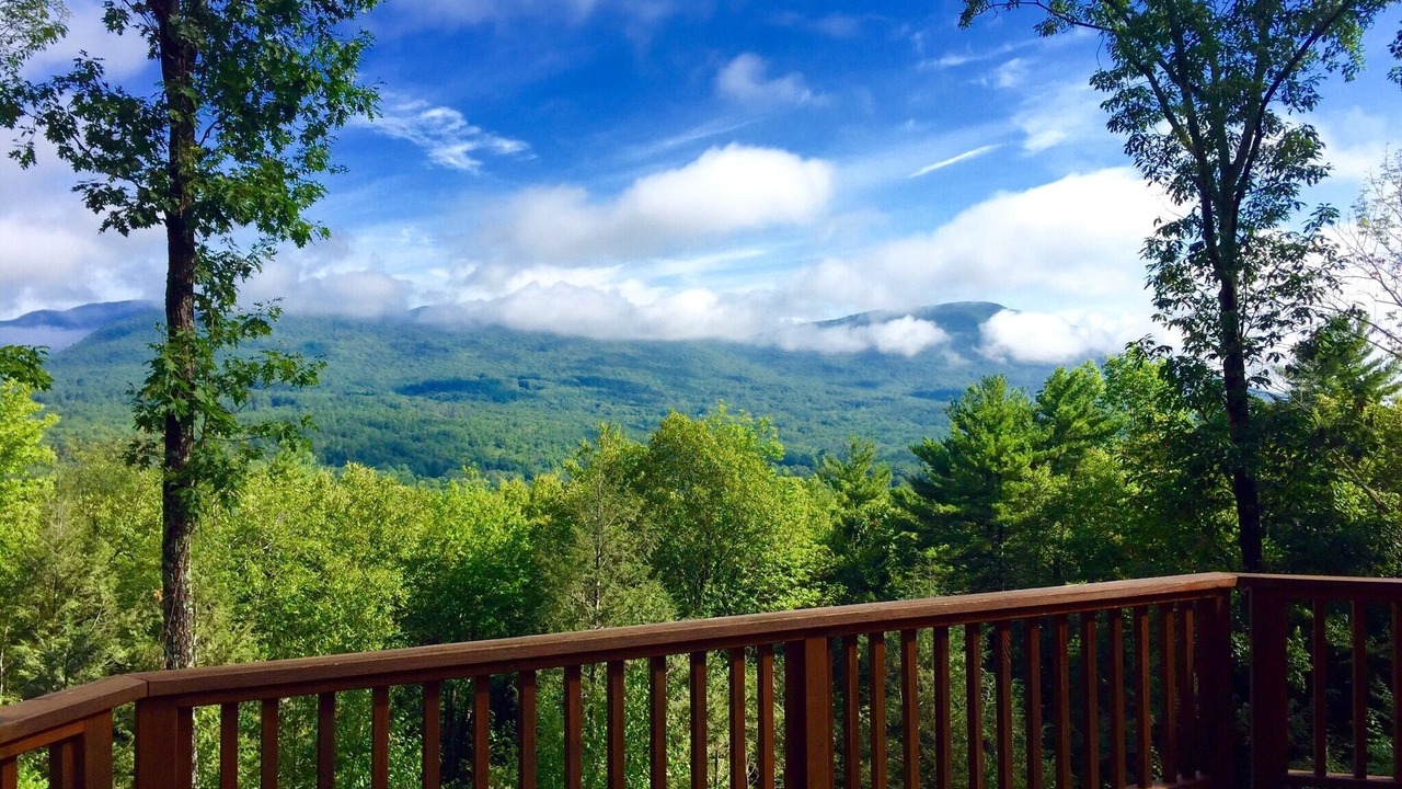 Photo of Others in Bearsville