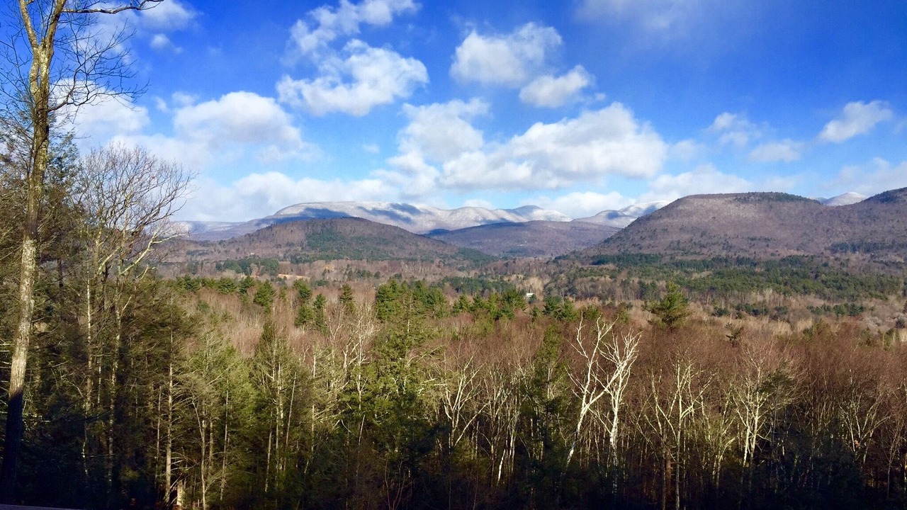 Photo of Others in Bearsville