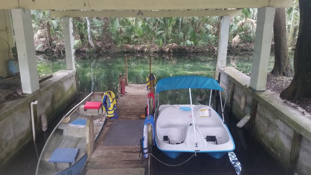 Photo of Others in Homosassa