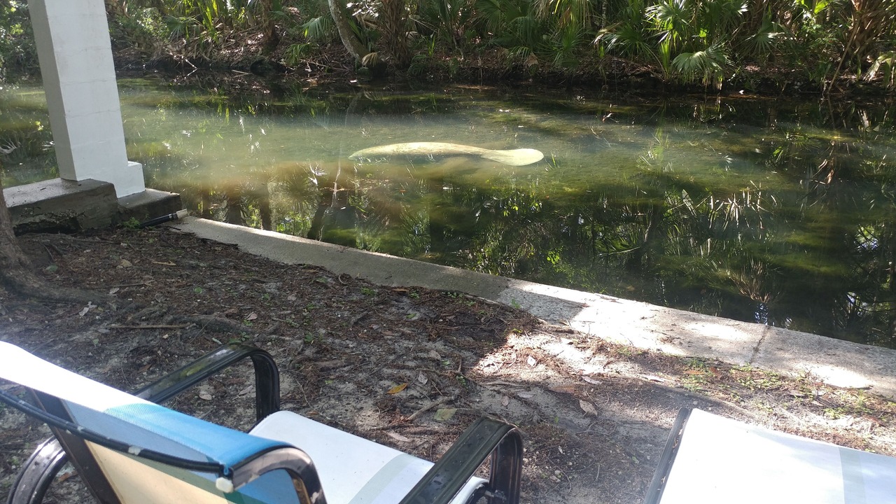 Photo of Outdoor in Homosassa