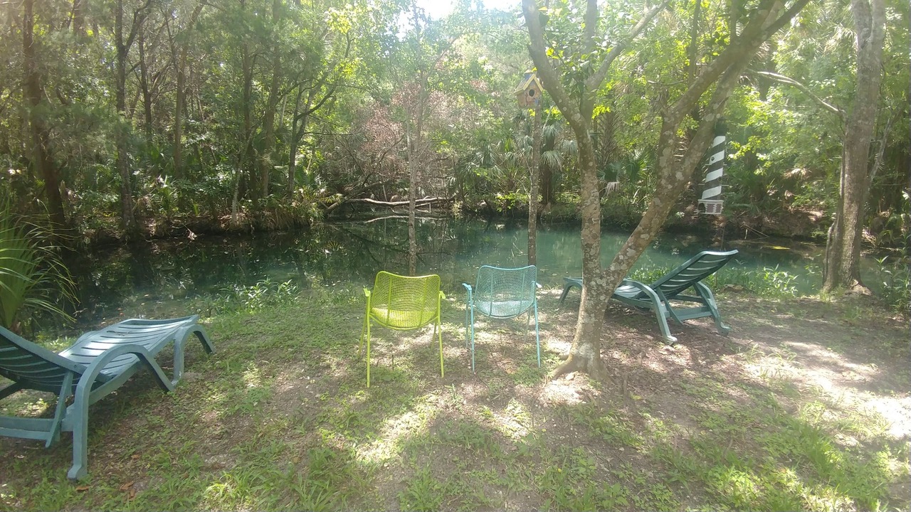 Photo of Others in Homosassa