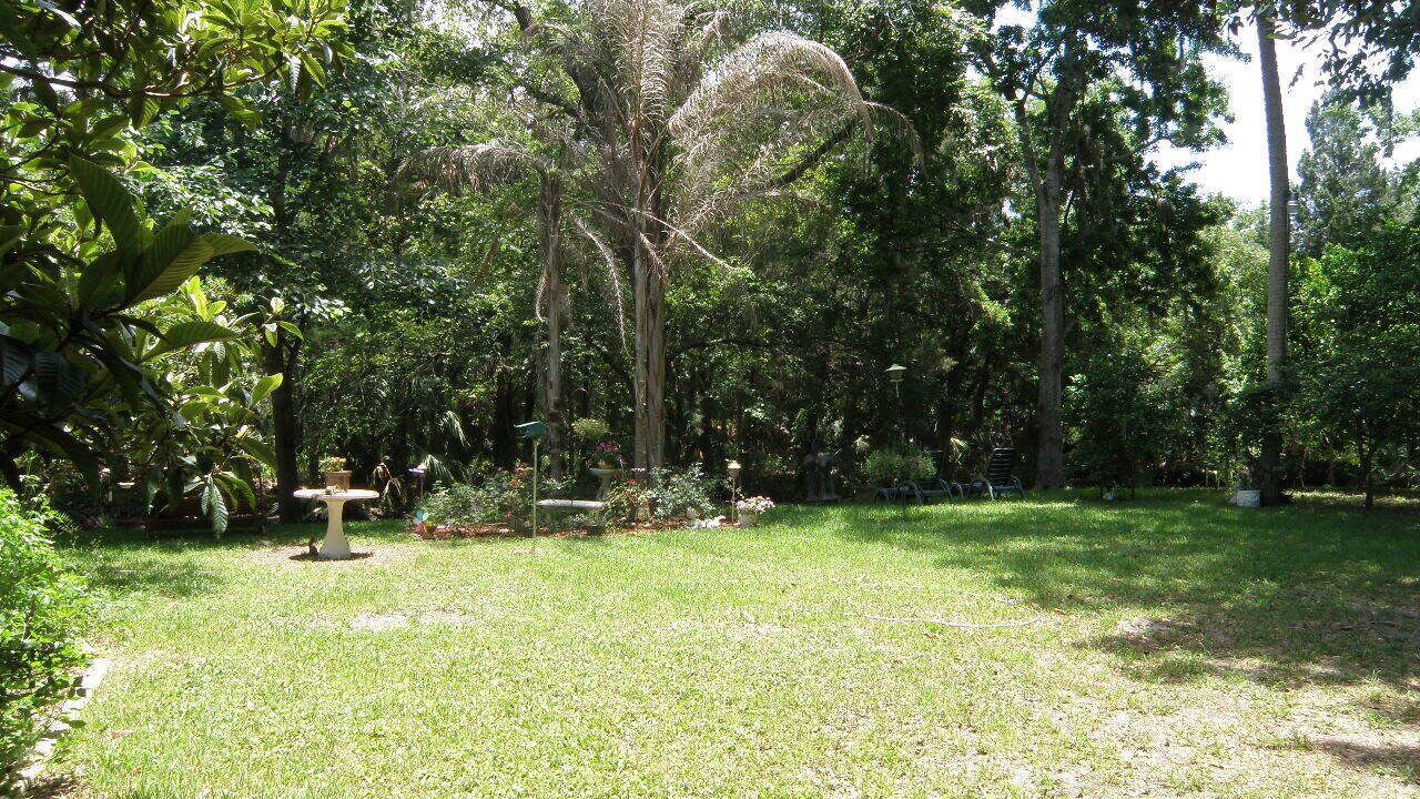 Photo of Outdoor in Homosassa