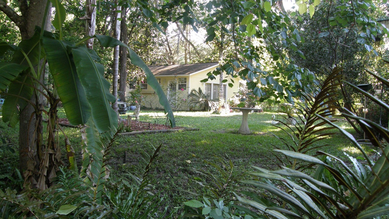 Photo of Others in Homosassa