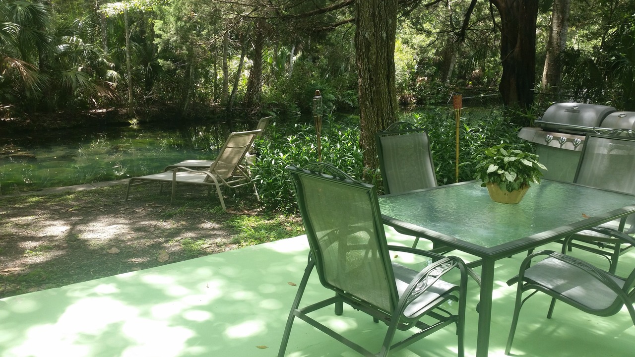 Photo of Others in Homosassa