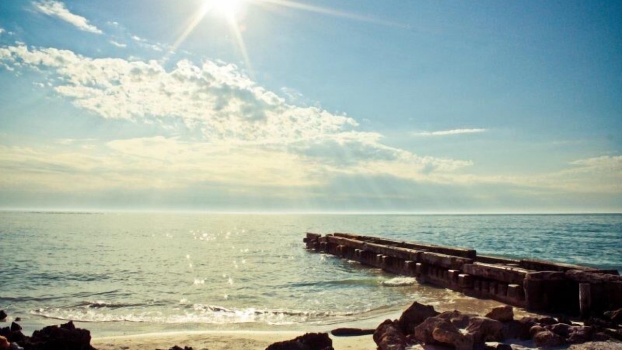 Photo of Others in Siesta Key
