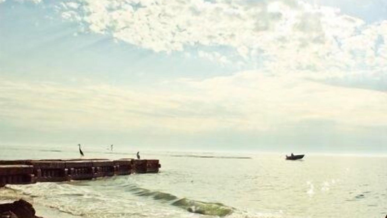 Photo of Others in Siesta Key