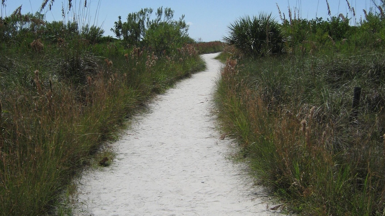 Photo of Others in Siesta Key