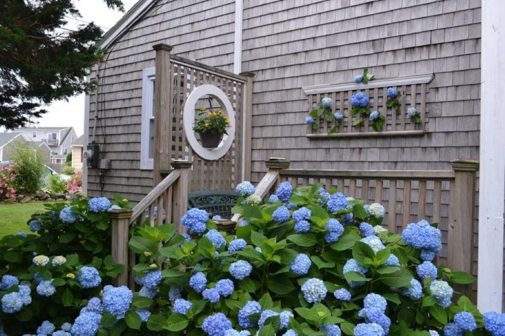 Photo of Outdoor in Sandwich