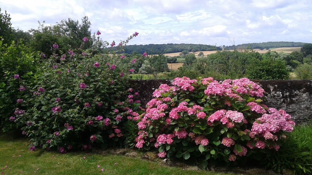 Photo of Outdoor in Tintury