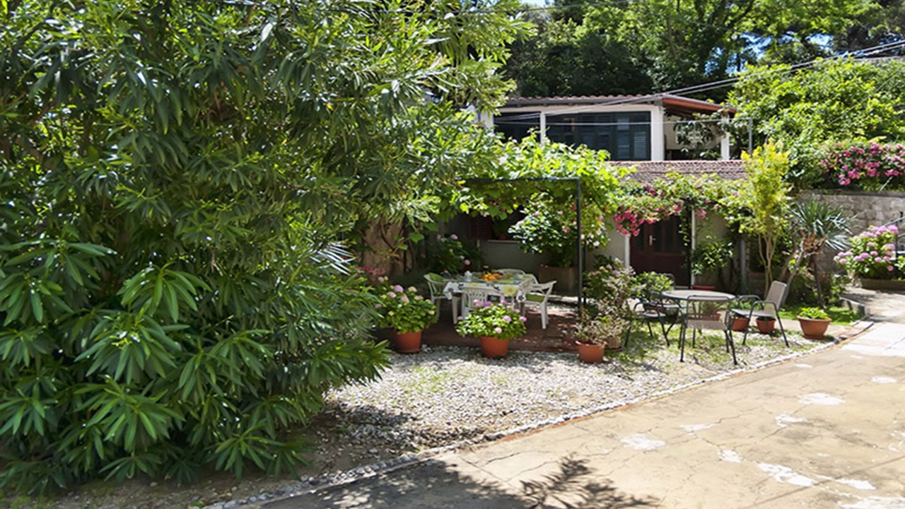 Photo of Outdoor in Pile