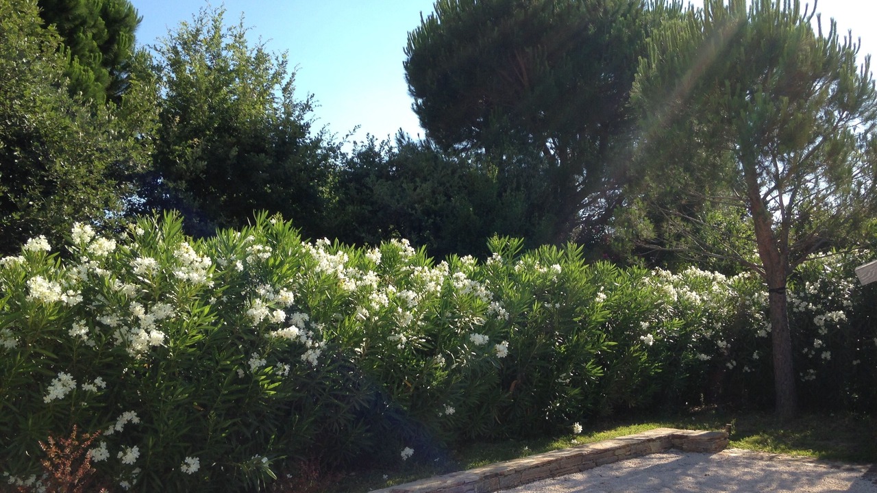 Photo of Outdoor in Grimaud