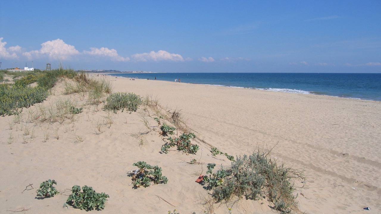 Photo of Others in Olhao