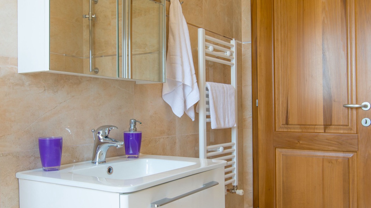 Photo of Bathroom in Pula