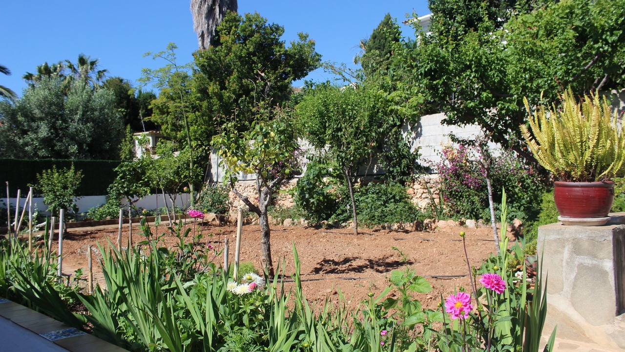 Photo of Outdoor in Calpe