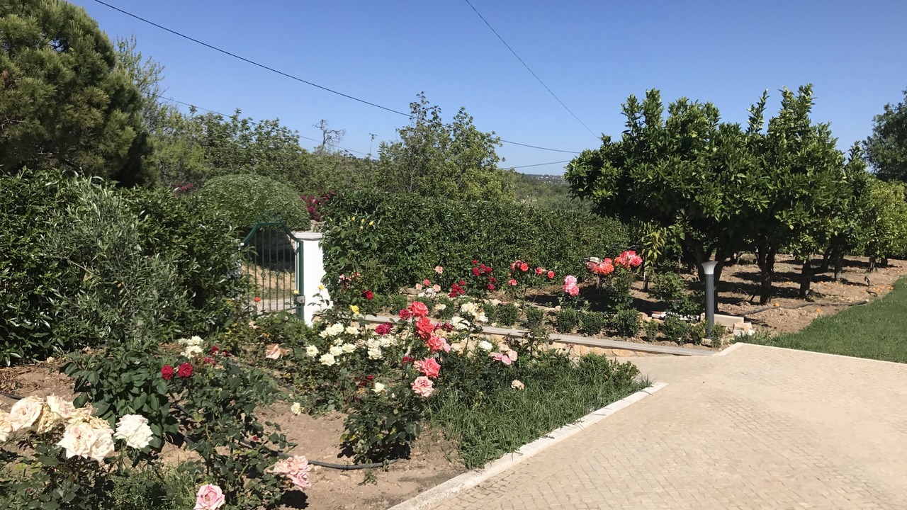 Photo of Outdoor in Alfeicao