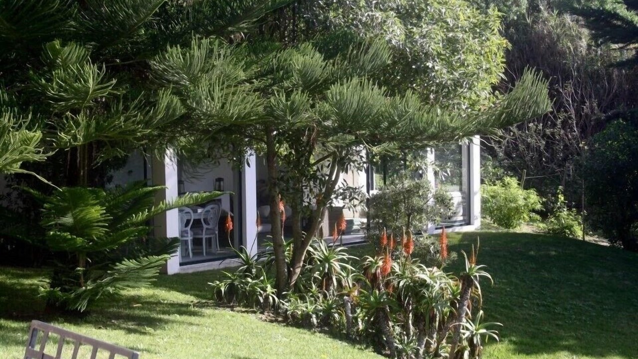 Photo of Outdoor in Almocageme