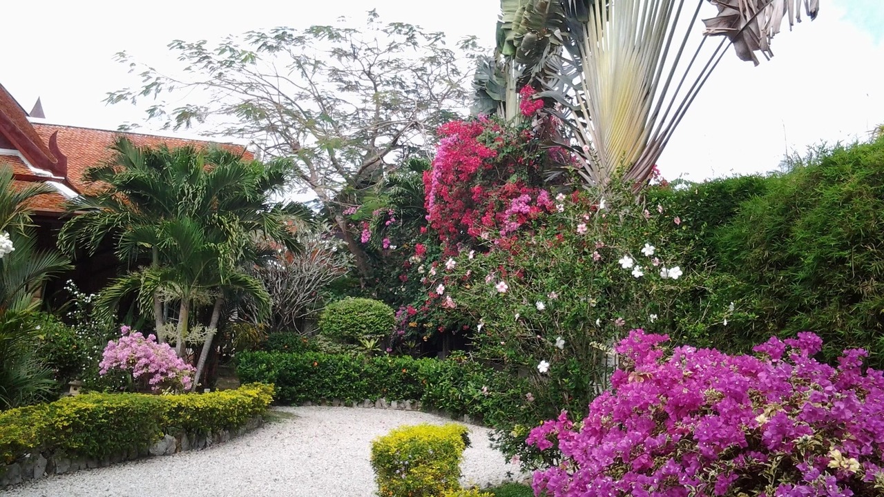 Photo of Outdoor in Rawai