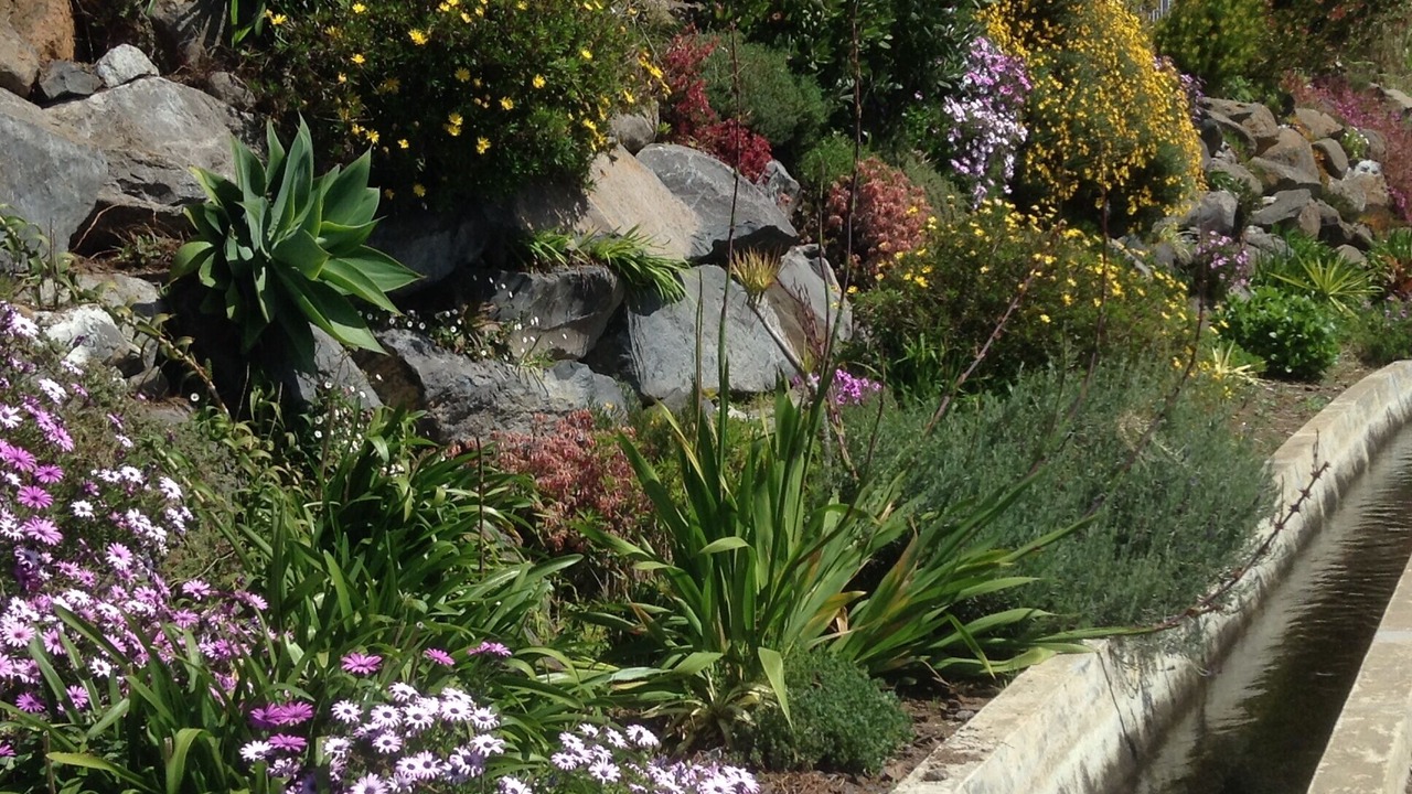 Photo of Outdoor in Calheta