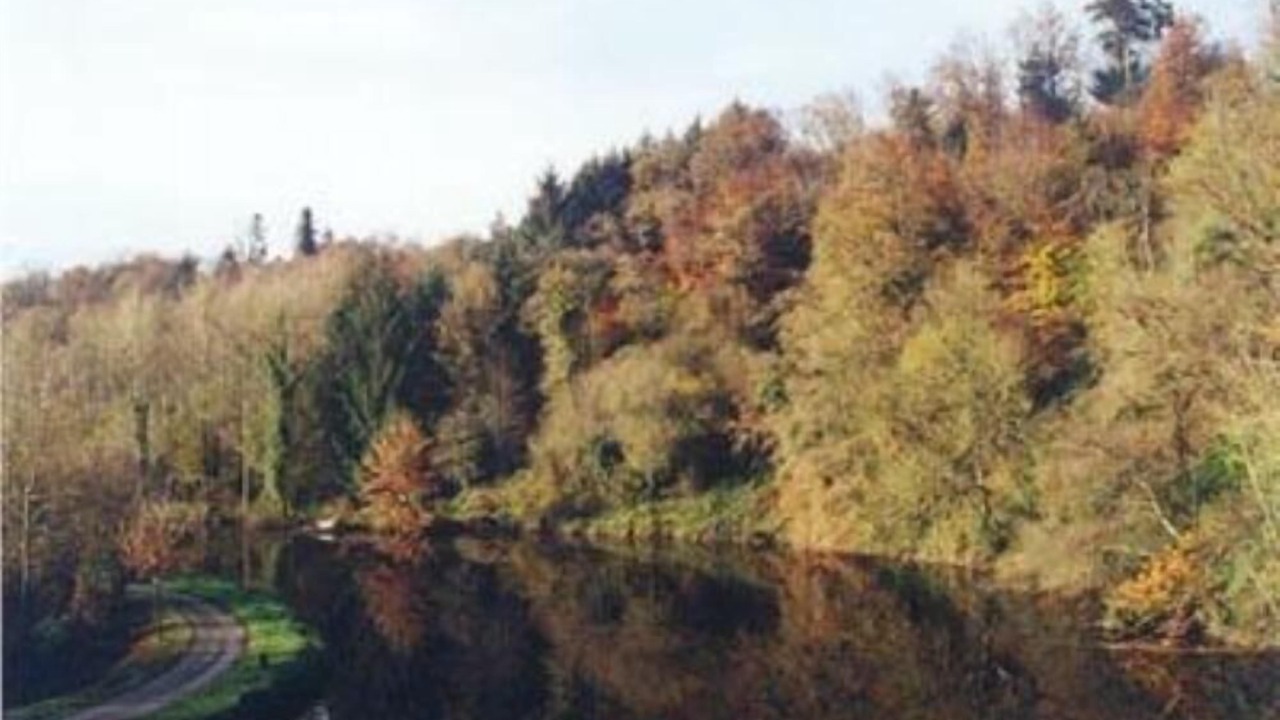 Photo of Others in Saint-Nicolas des Eaux