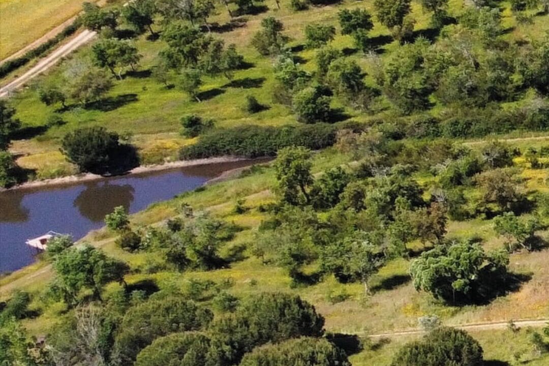 Photo of Outdoor in Vila Nova de Milfontes