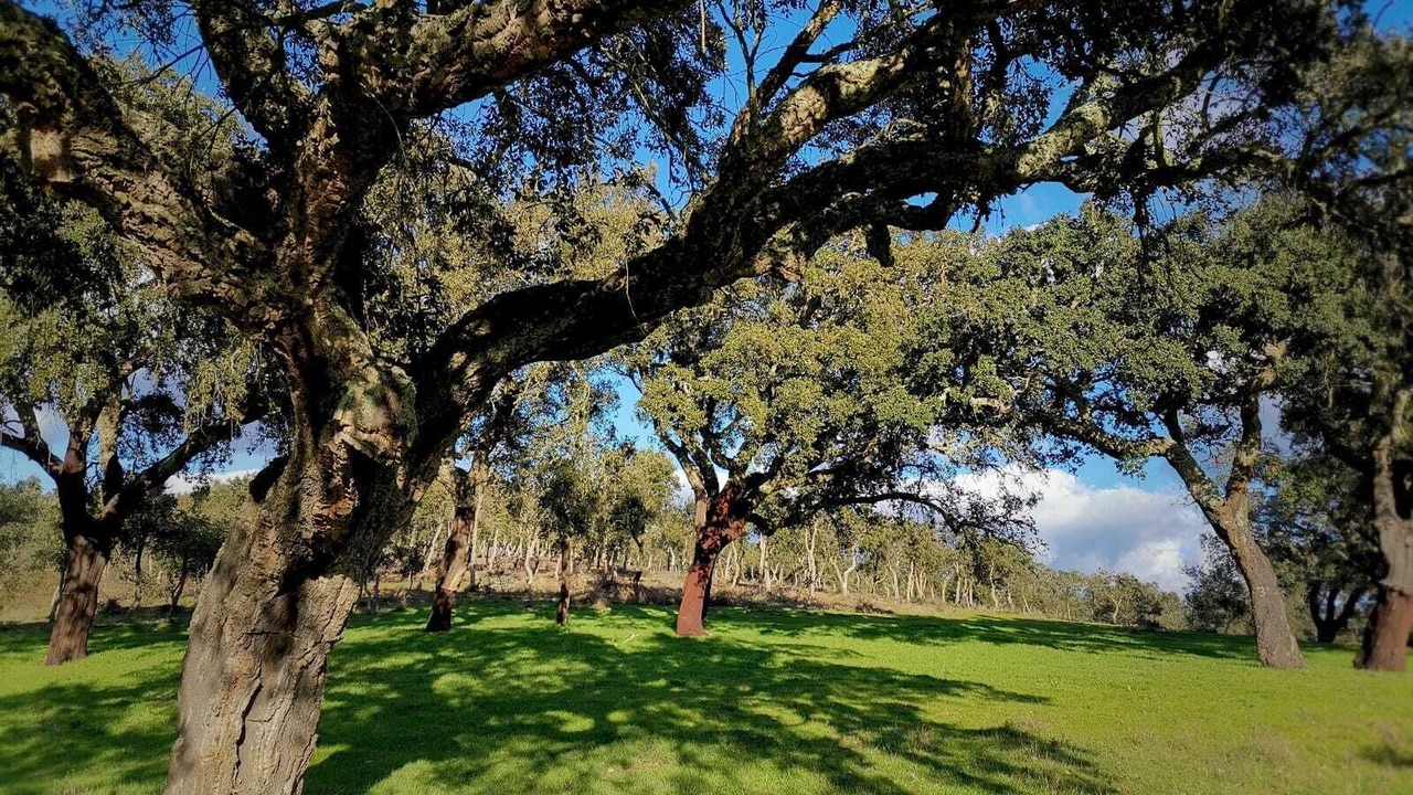 Photo of Outdoor in Vila Nova de Milfontes