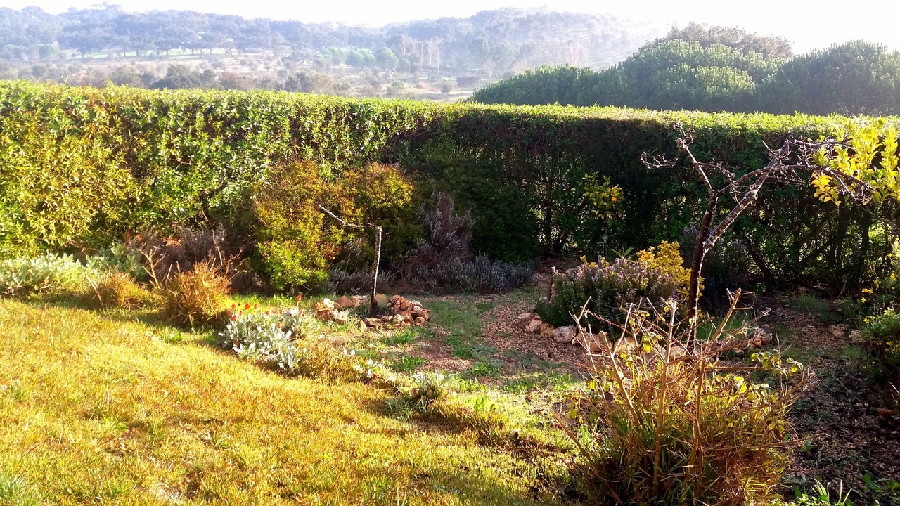 Photo of Outdoor in Vila Nova de Milfontes