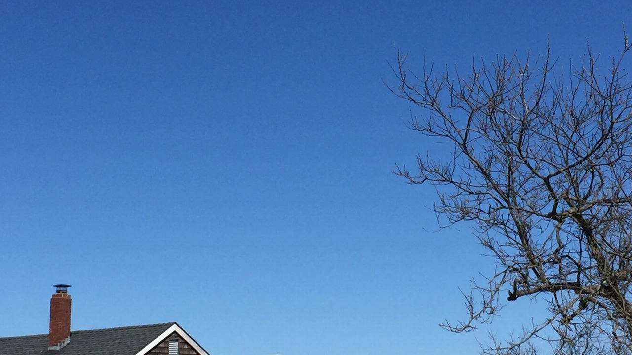 Photo of Outdoor in Riverhead