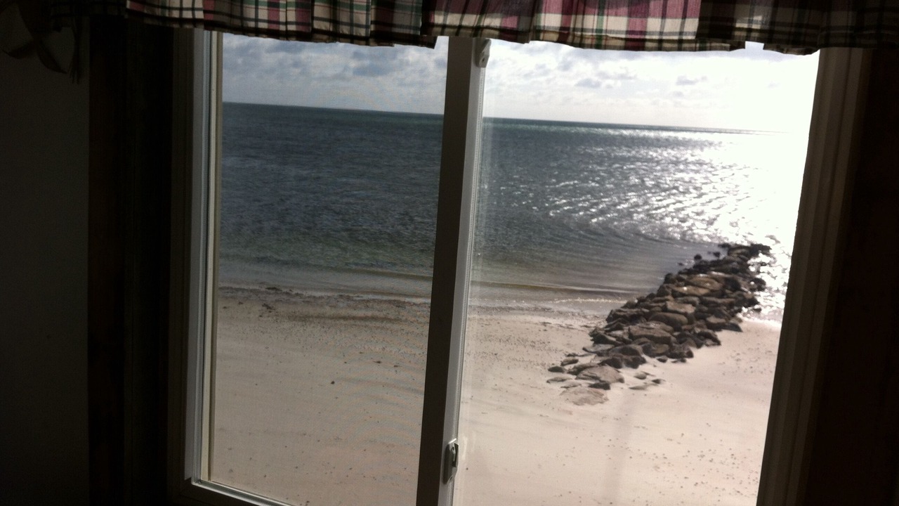 Photo of Others in South Yarmouth