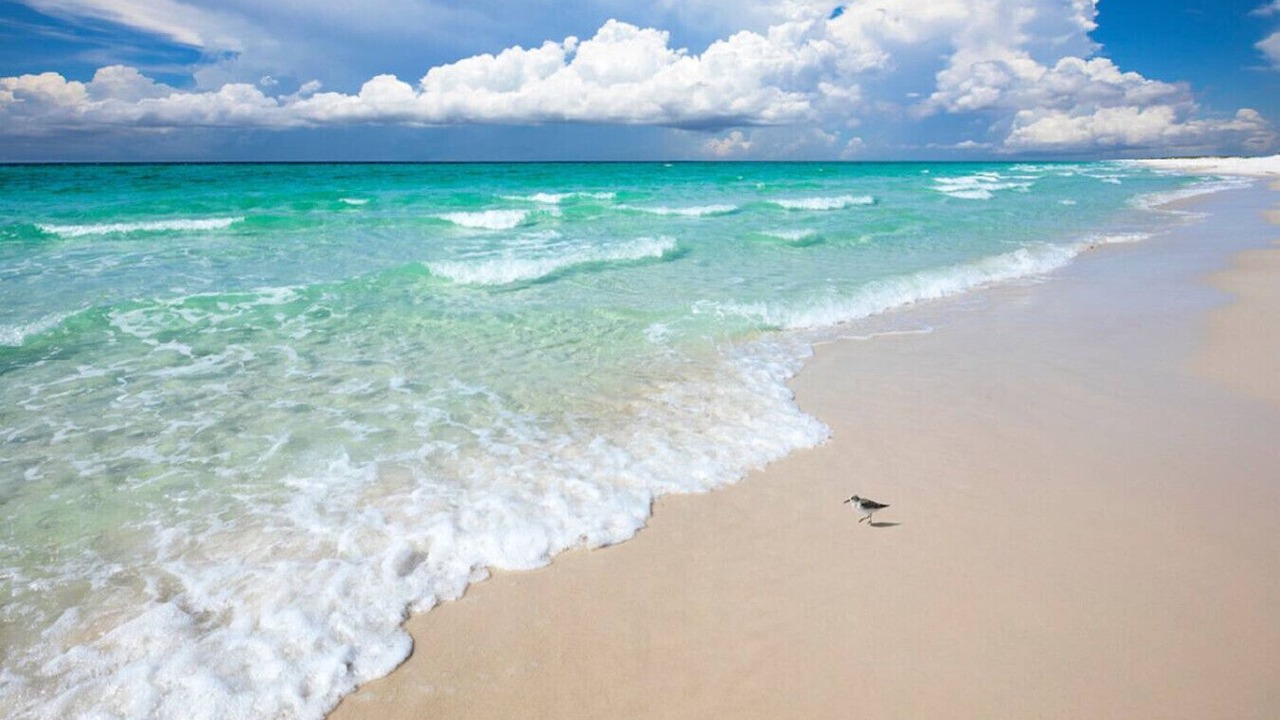 Photo of Others in Seacrest Beach