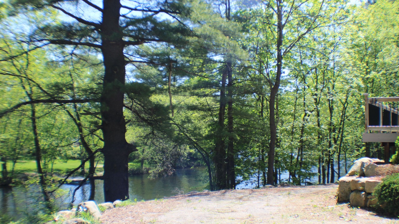 Photo of Others in Lake George