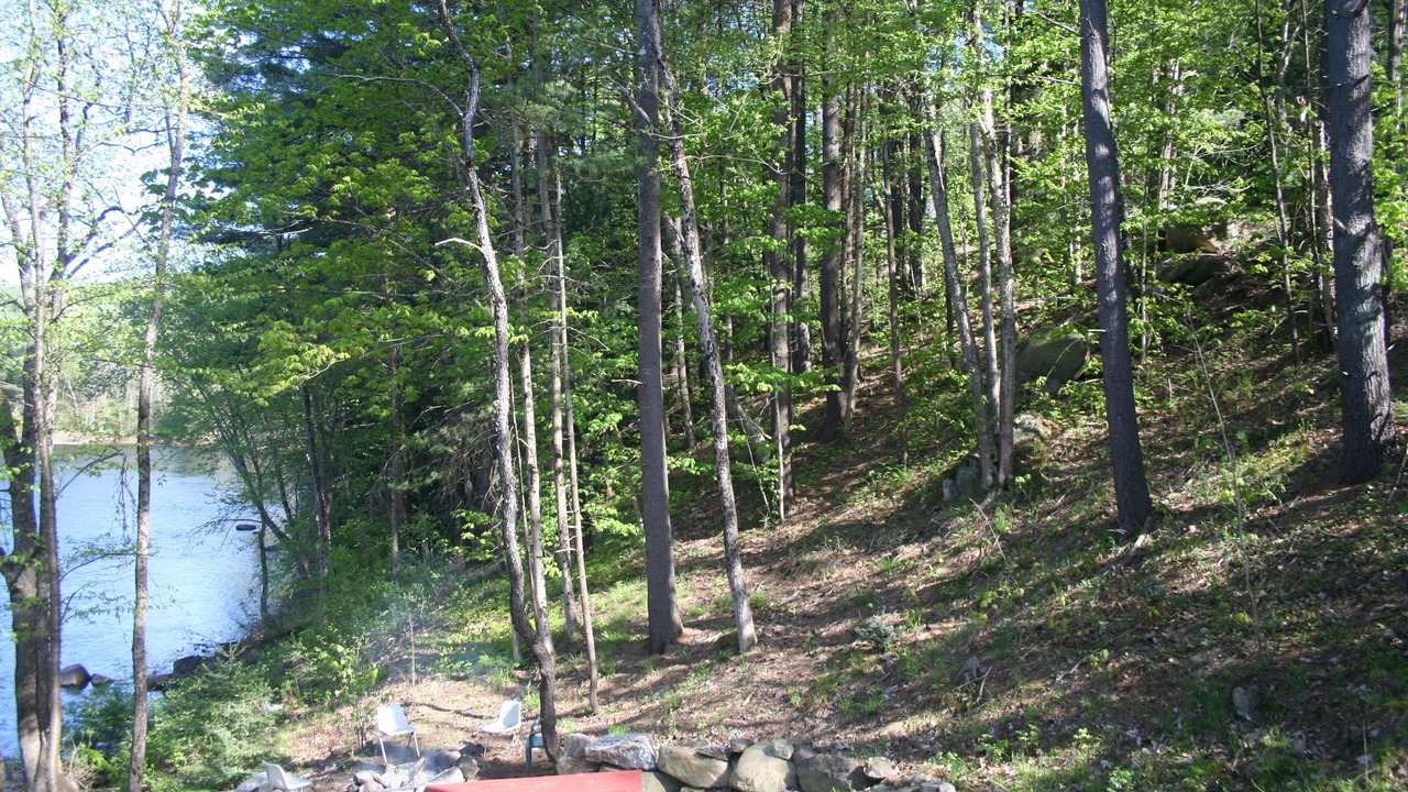 Photo of Others in Lake George