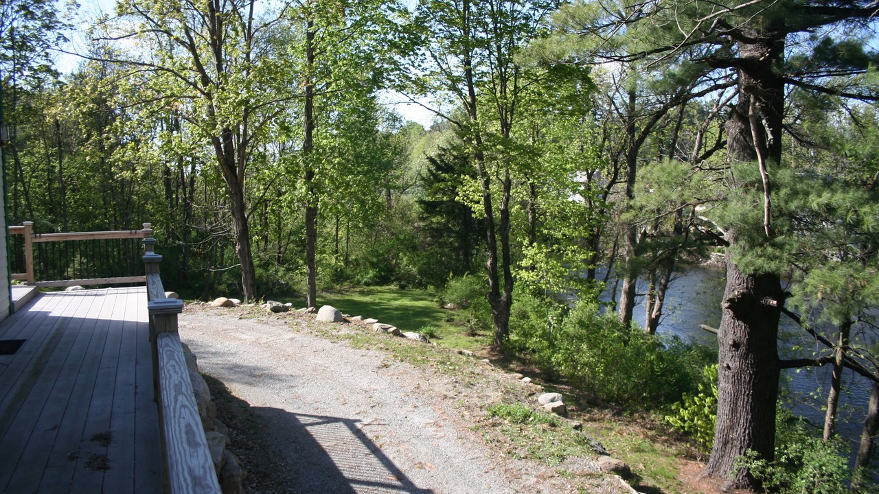 Photo of Others in Lake George