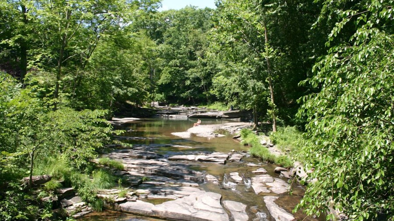 Photo of Others in Woodstock
